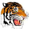 Salem Tigers