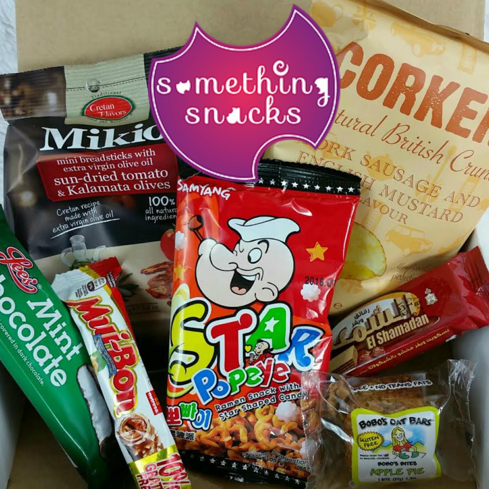 Something Snacks January 2016 Review and Coupon Code Bits and Boxes