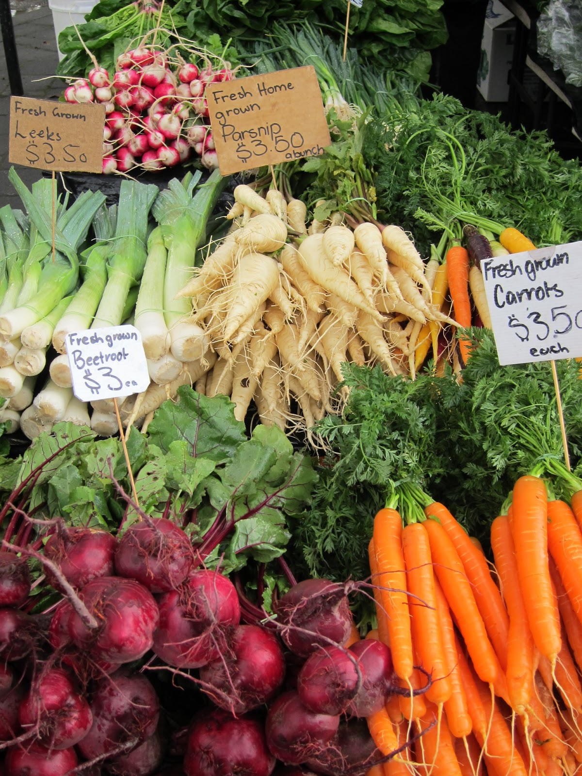 . Tasmanian Travels Part 2