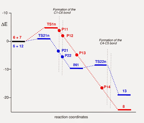 Single-bond formation along the reaction coordinates