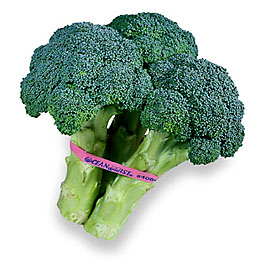broccoli_left_product.jpg