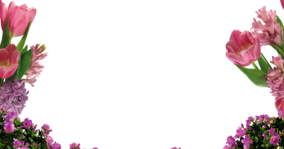 MARCOSPNG FOTOS KARENLIZ: MARCOS DE FLORES PNG