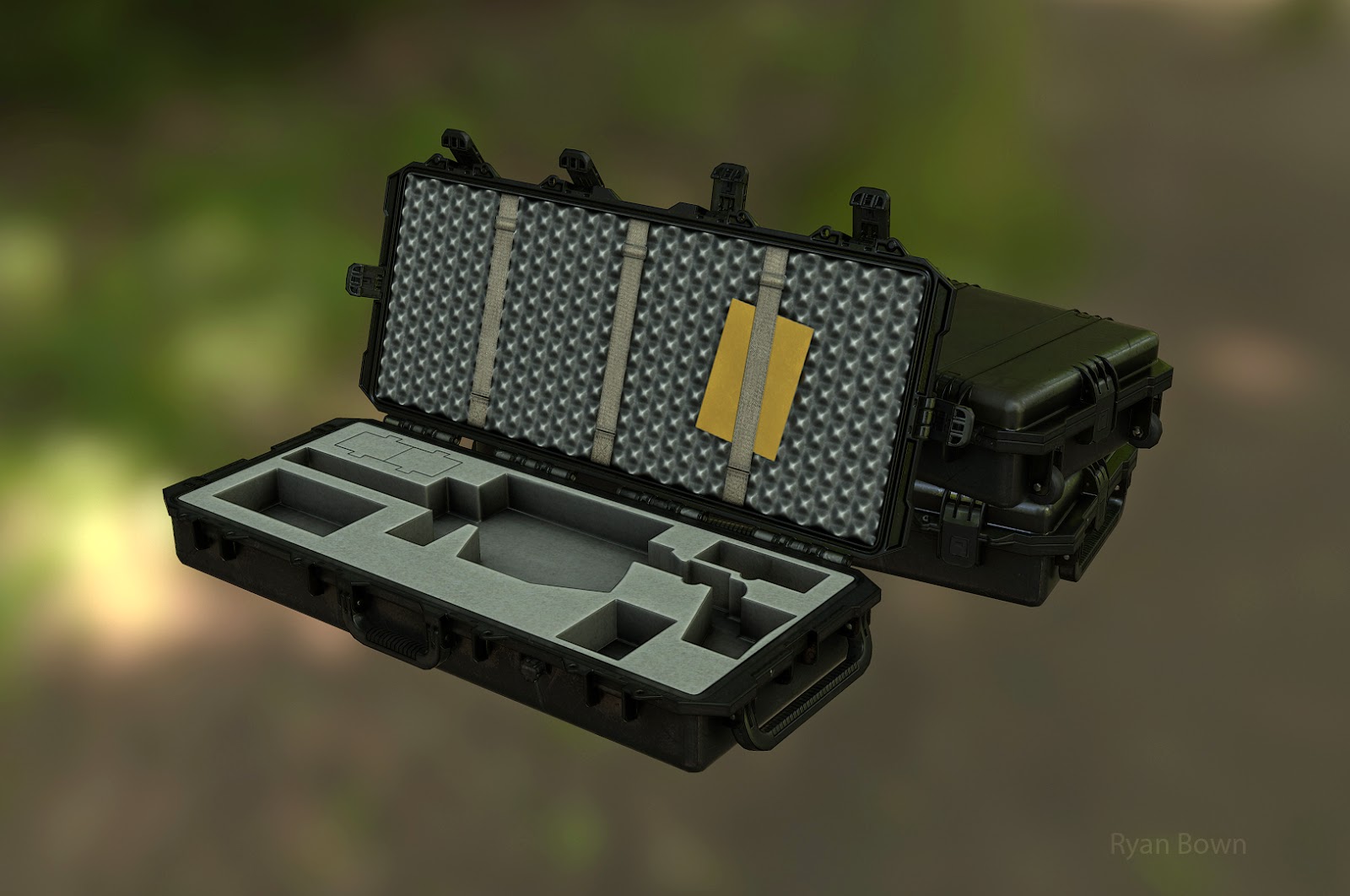 pelican_case_01_ryan_bown.jpg