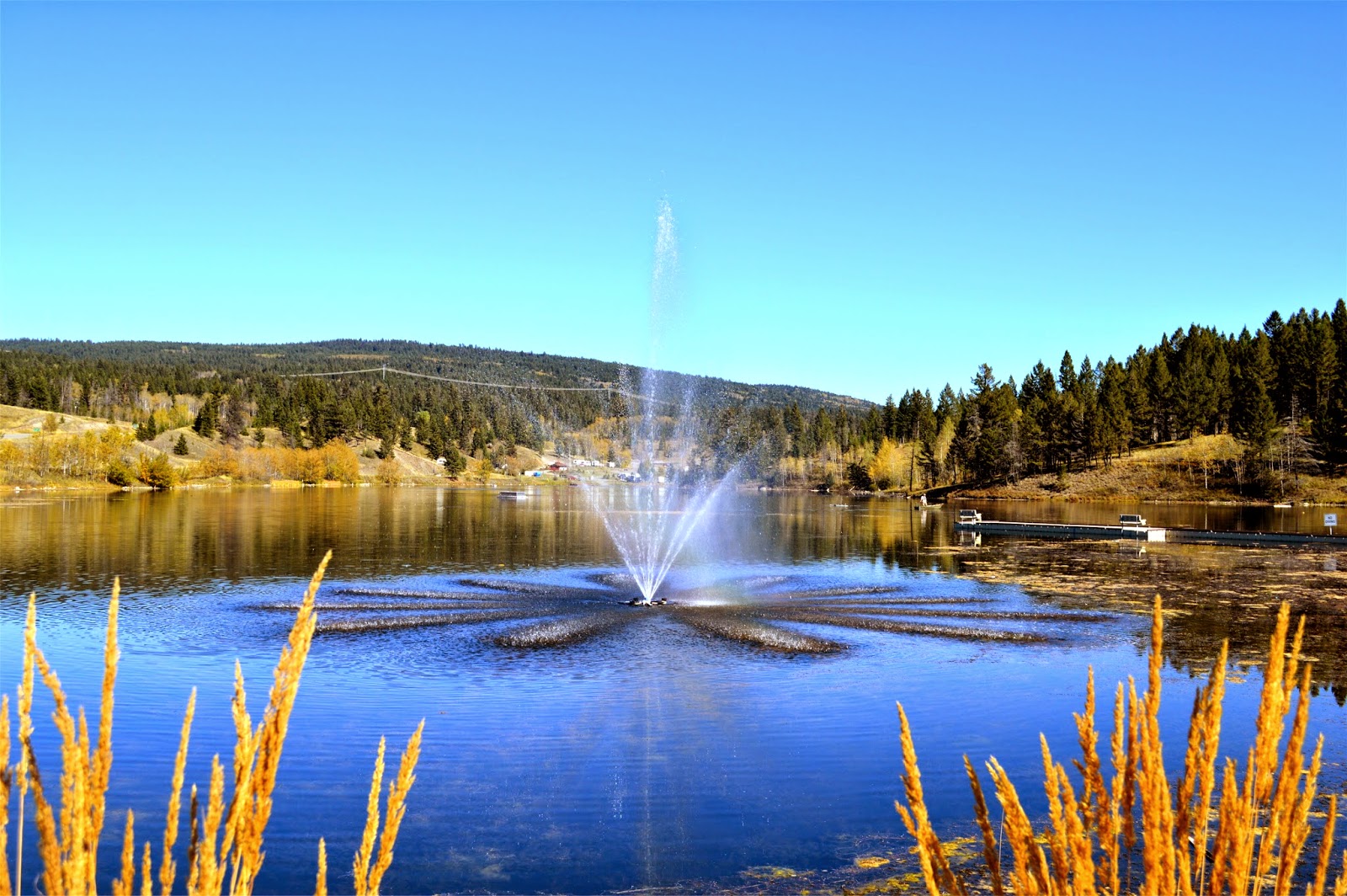 Footloose Fall coiors around Logan Lake BC