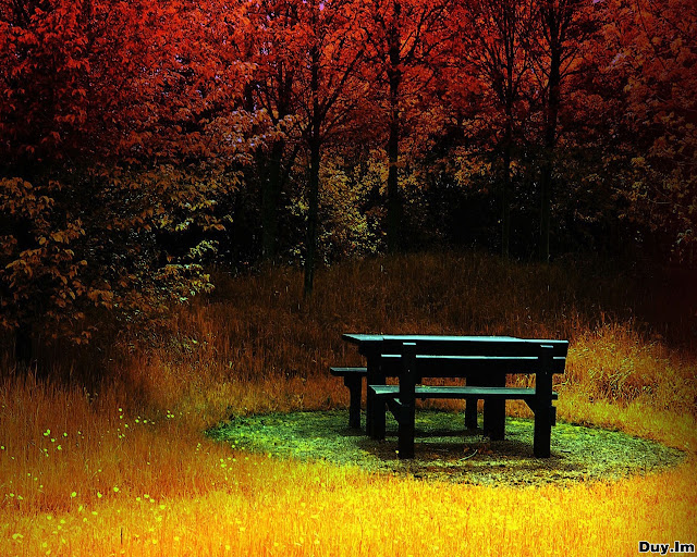 autumnwallpapers2011034