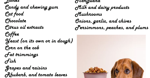 Natural Foods For Dogs Breath Natural Foods For Dogs Breath