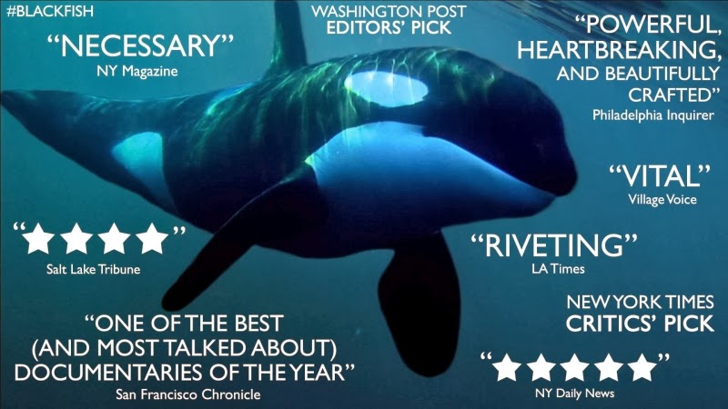 THE VEGAN VOGUETTE: A Year in Review: A Few Memorable Moments of 2013