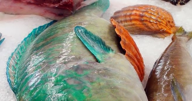 The Edible Ocean: The Odd Parrotfish