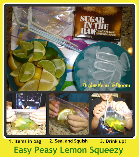 Brainstorm in Bloom Lemonade in a Bag (Single Stem Idea)