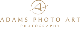 London Wedding Photographer | London Wedding Photographers