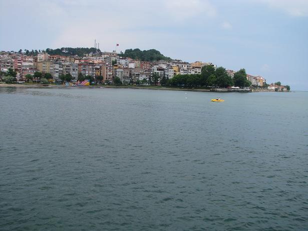 MAVİANNE ÜNYE = MEMLEKET