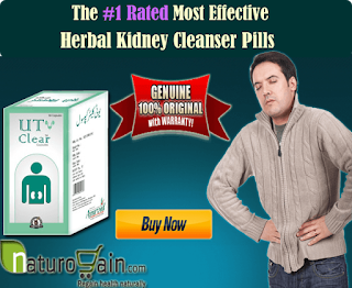 Ayurvedic Supplements To Cleanse Kidney