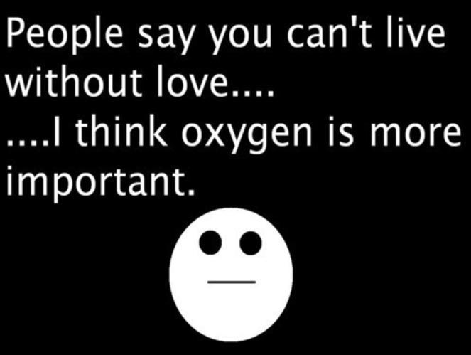 Funny Quotes
