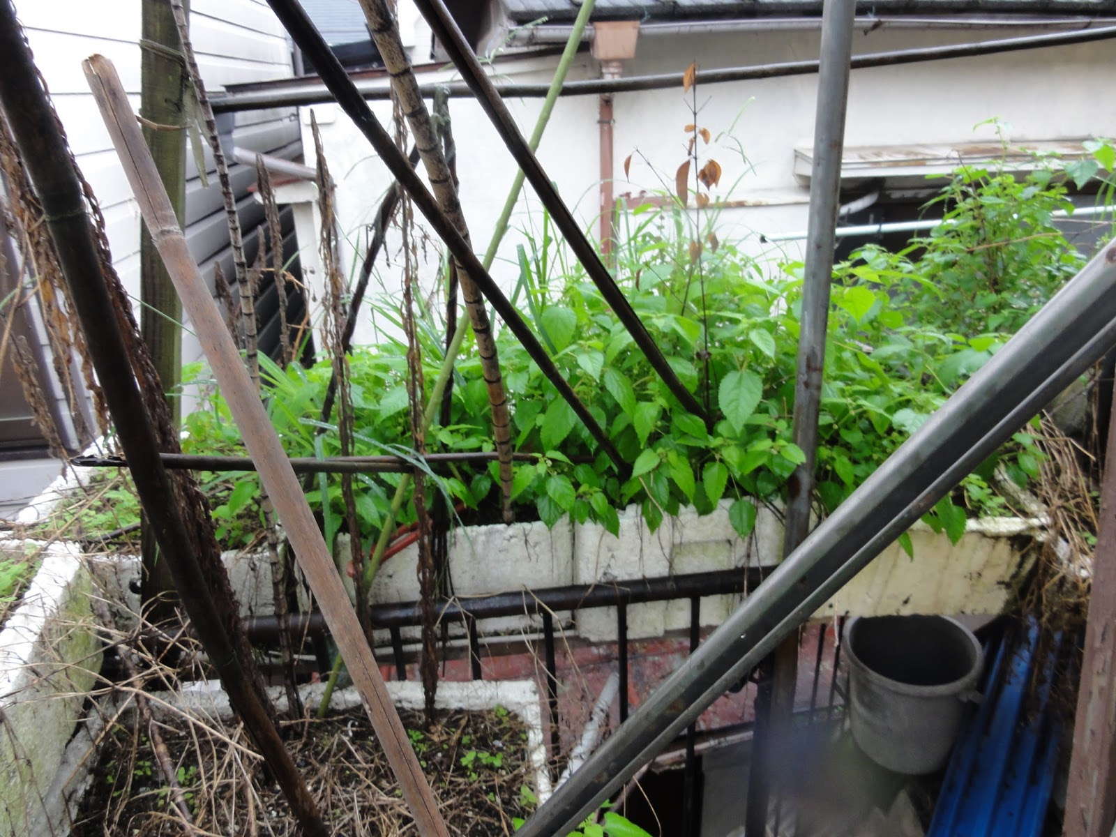 東京便利屋目黒アットマンの日々のご依頼解決奮闘日記 北区でベランダ植木鉢整理