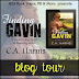 BLOG TOUR + Teasers : Finding Gavin (Southern Boys, Book #2) by C.A. Harms