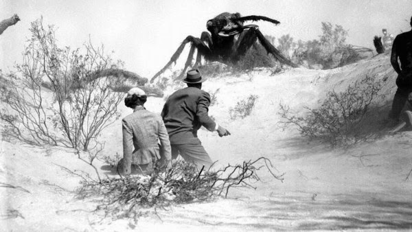 ate ant trap florida survival gardening of the ants ate ant trap florida survival gardening of the ants