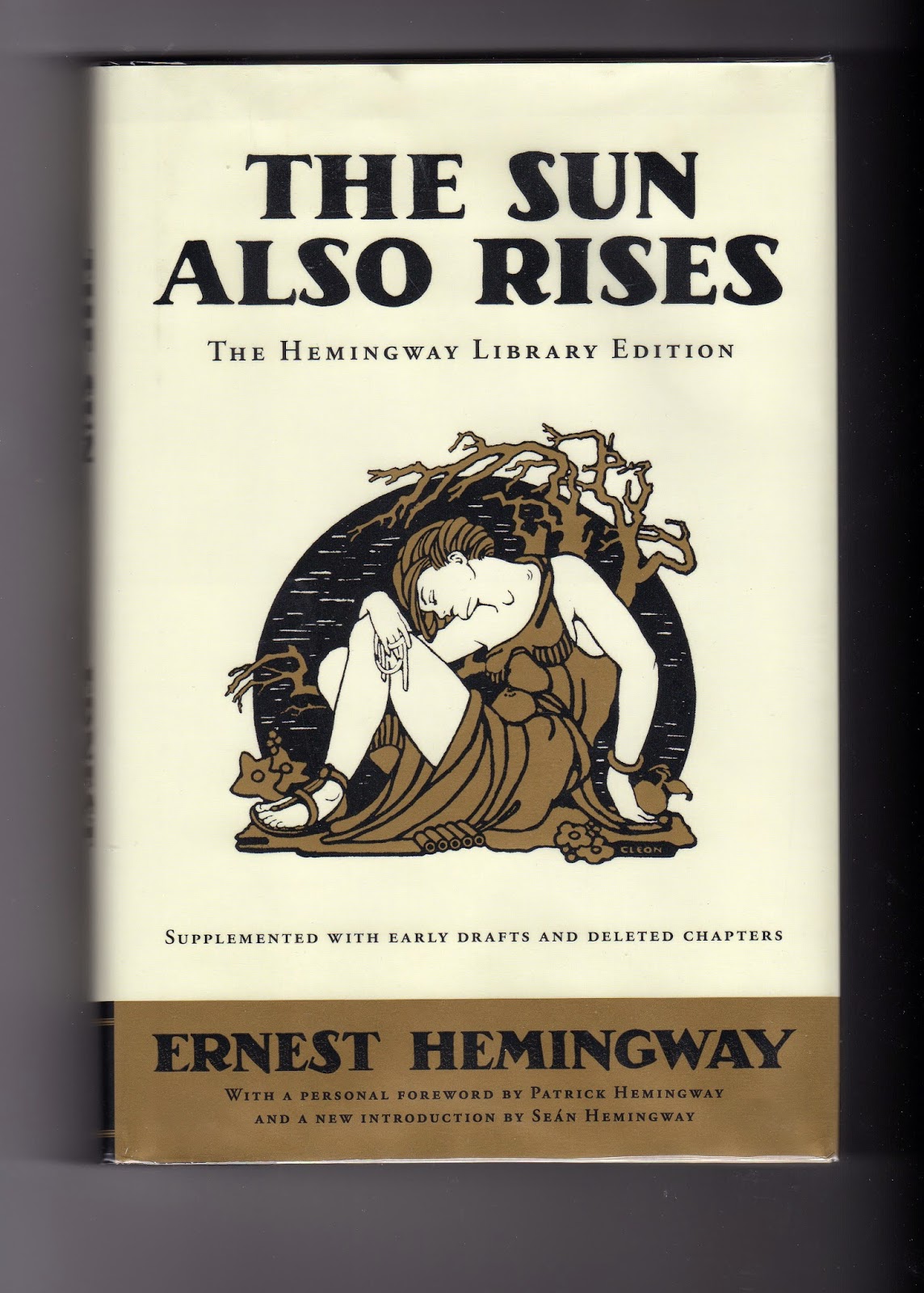 sun also rises critical essay sun also rises critical essay