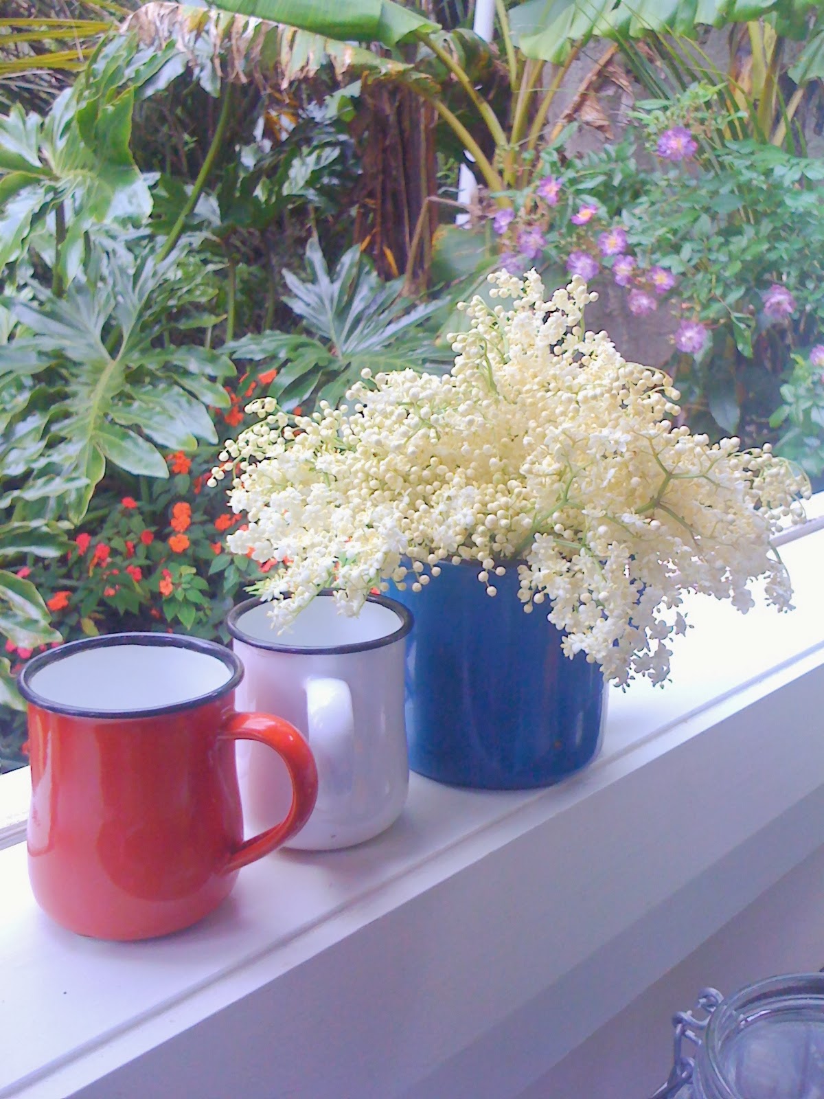 Alessandra Zecchini Elderberry Flower Fritters