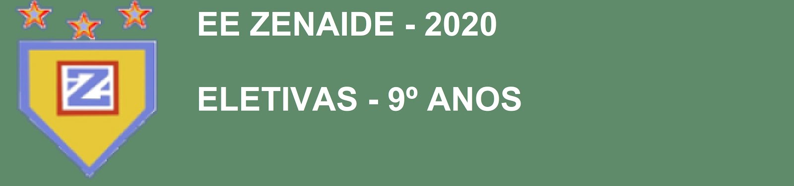 EE ZENAIDE – ELETIVAS – 9º ANOS - 2020