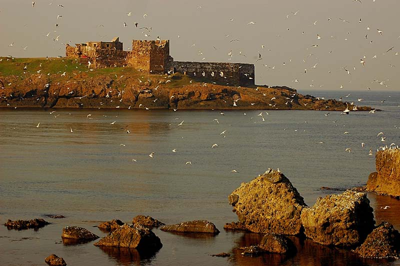 bu kadar cehalet ancak okuyarak olur