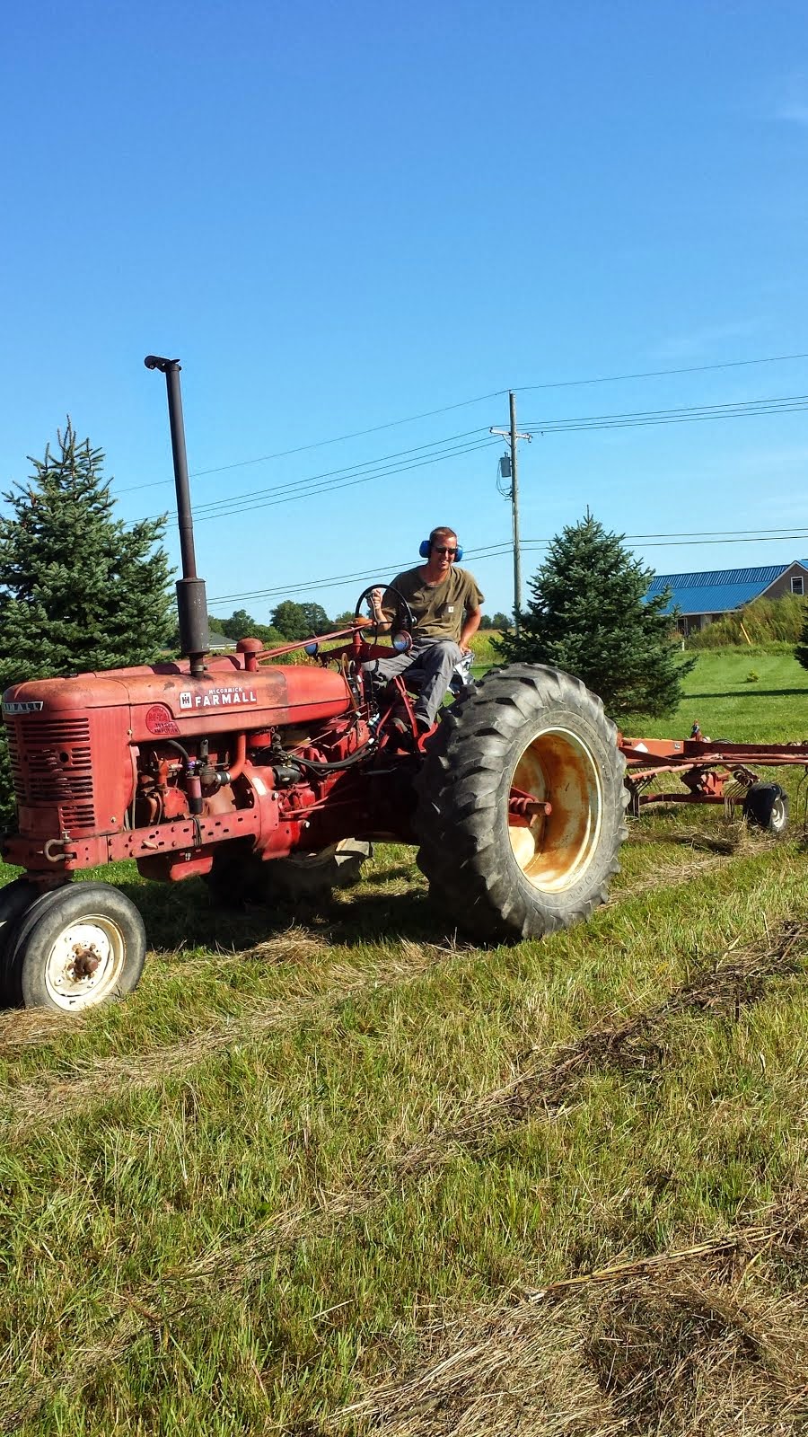 On The Farm