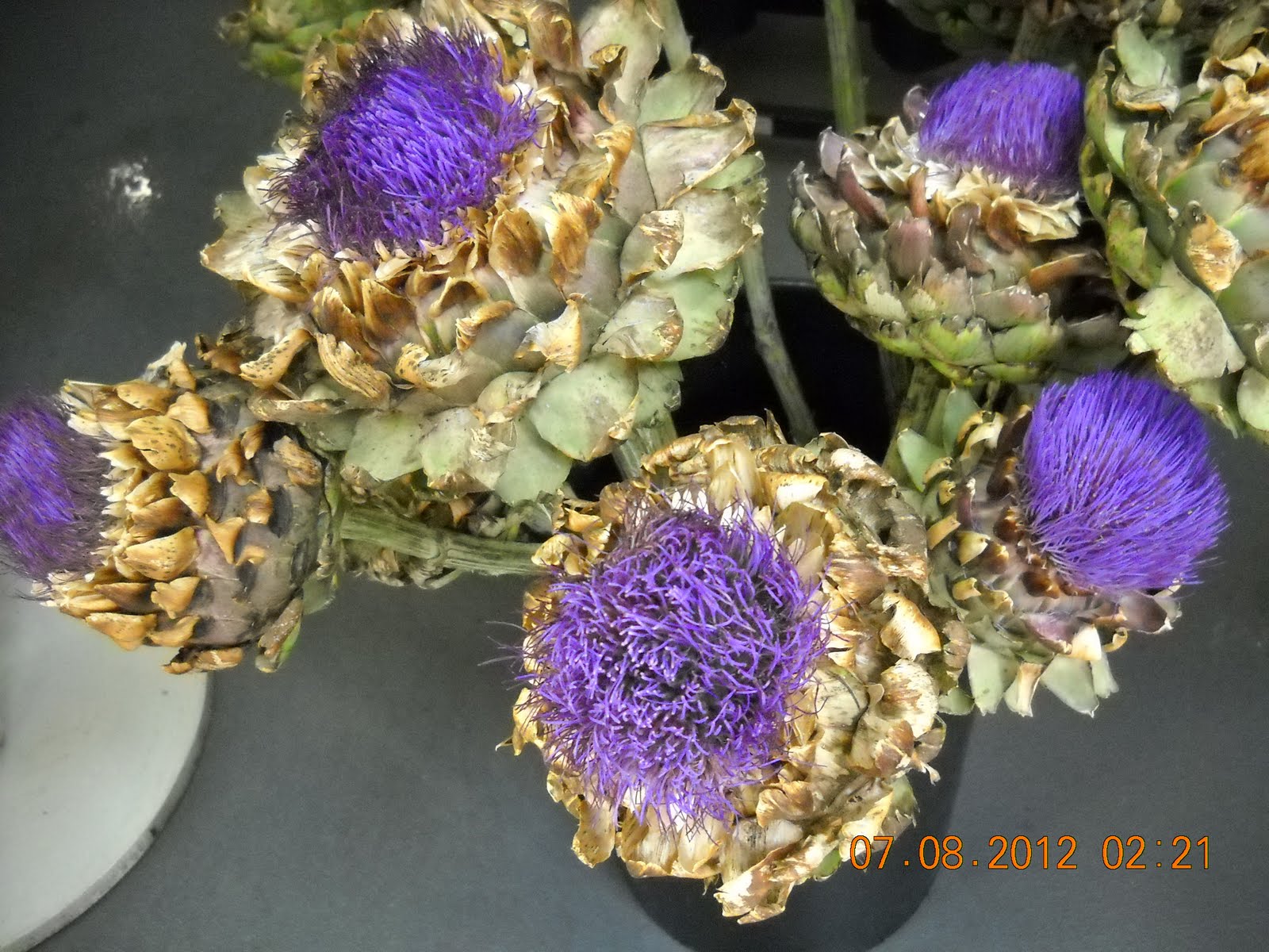 Hoogasian Flowers Did You Know That The Artichoke is A Flower?