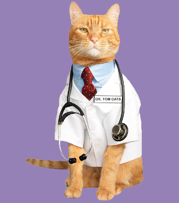 DR. TOM CATS (ONLINE)