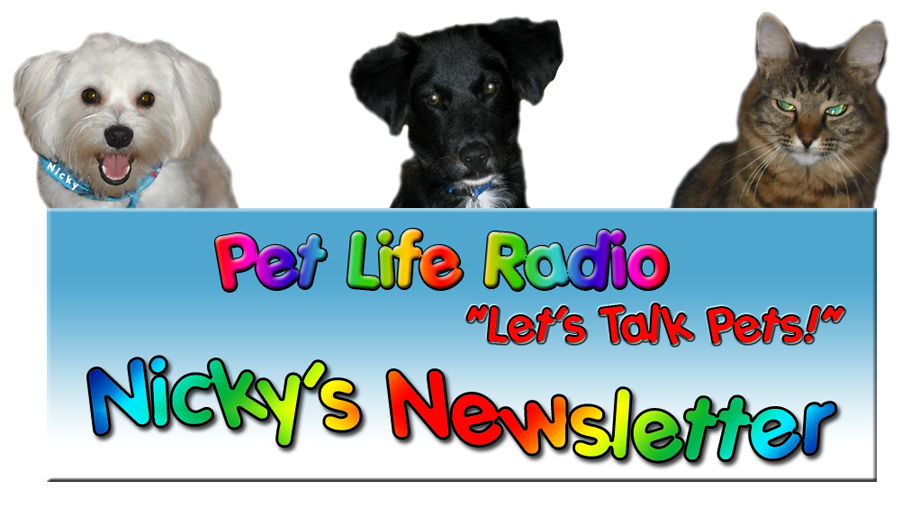 Pet Life Radio Newsletter