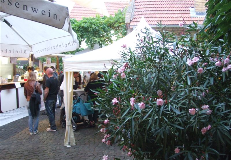 Weingut Janson Blog Juli 2011