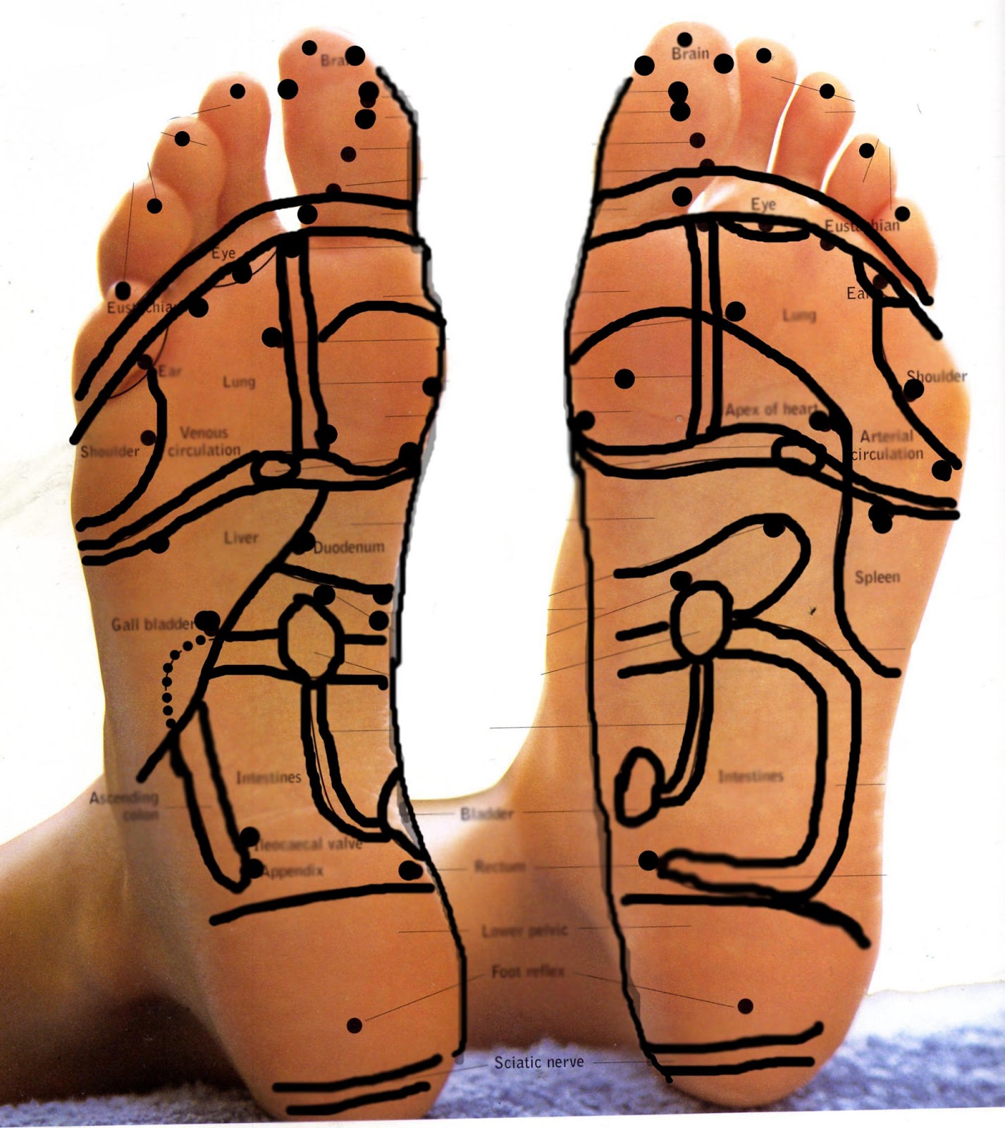 Holistyx Massage, Aromatherapy & Reflexology in Lancaster 2013