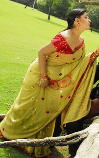 Meera-Jasmine-hot-in-saree-1