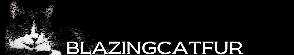 BLAZING CAT FUR