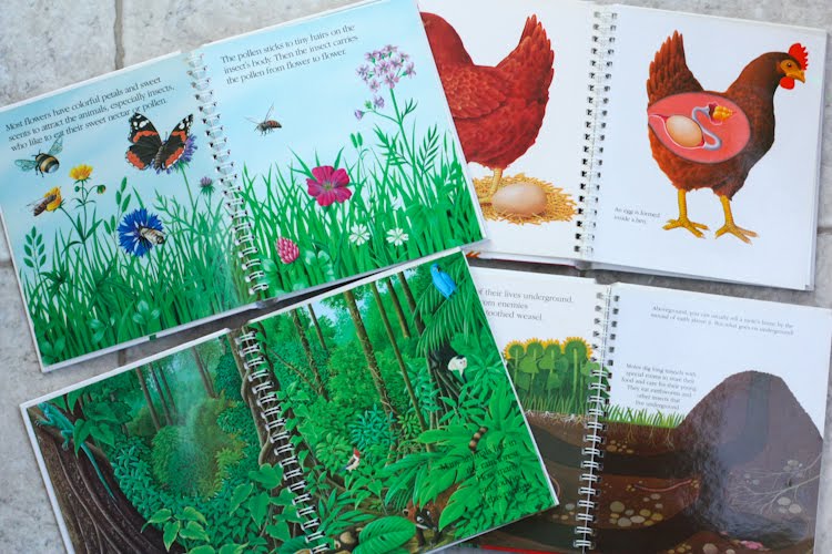 The Book Children Scholastic's First Discovery books