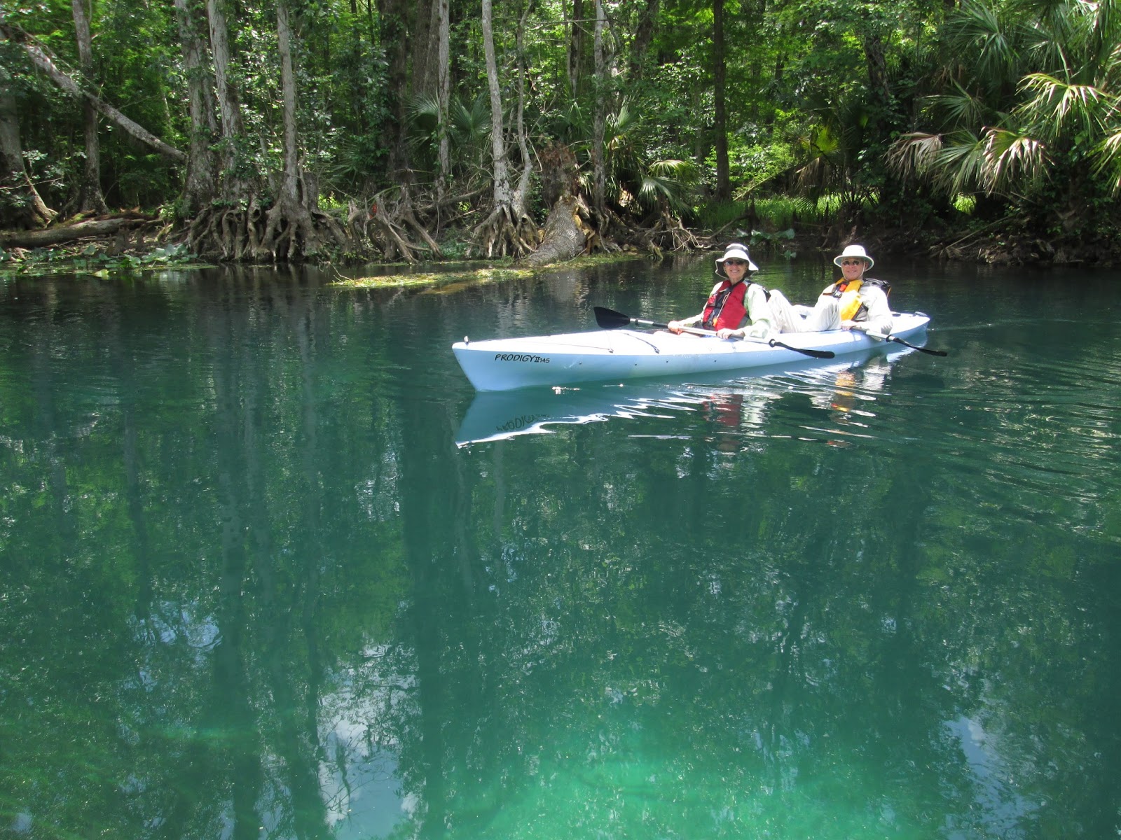 Central Florida Kayak Tours: Kayaking with the wildlife on the Silver