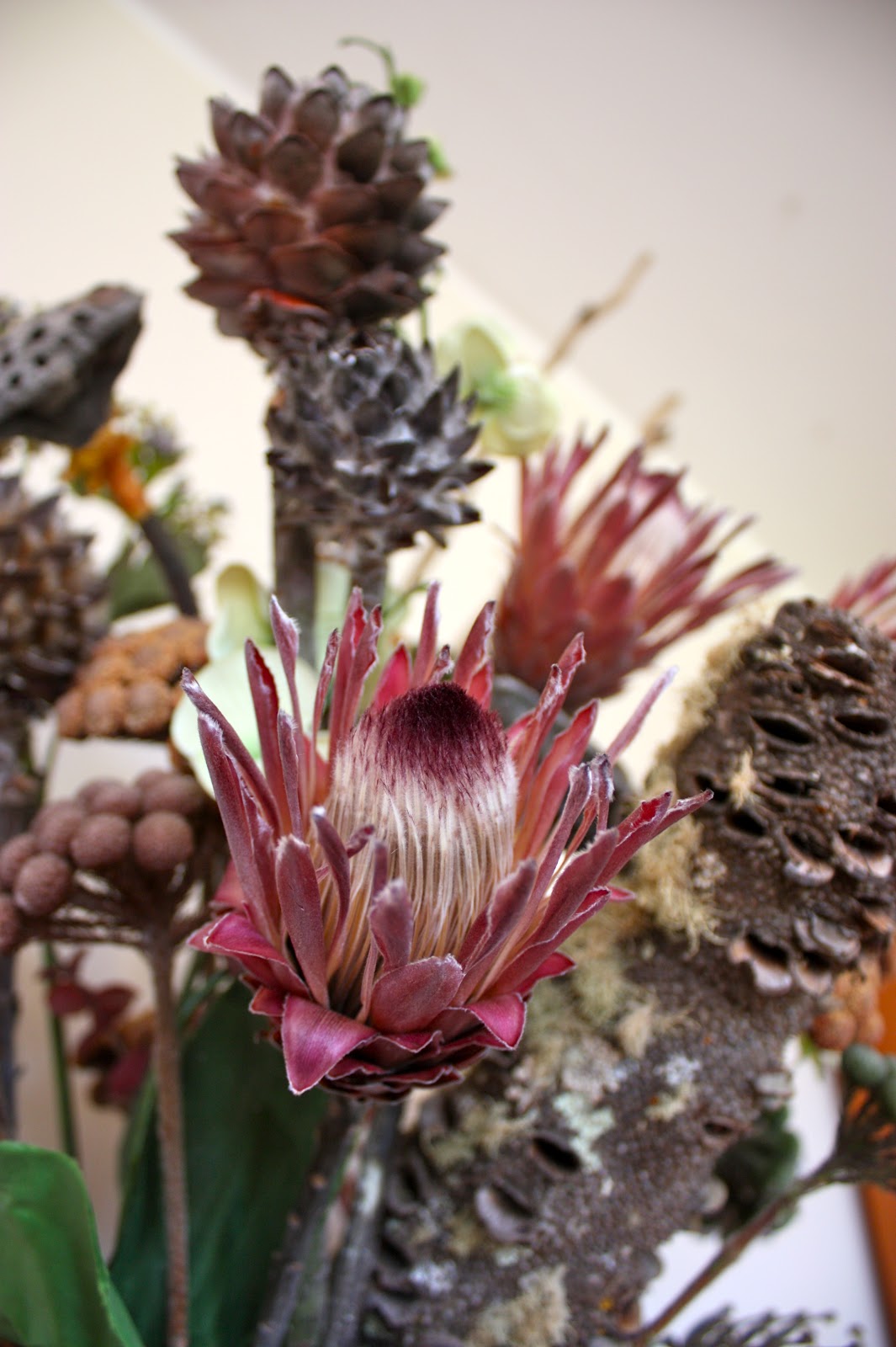 Swallows Nest Farm Drying Proteas