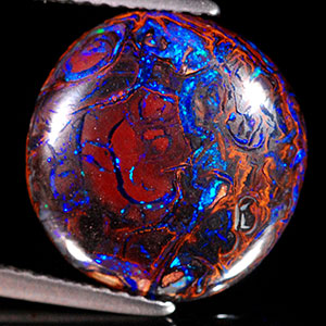 tree fossil with opal