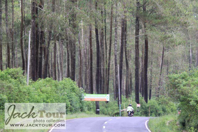Tour in Bandung: Lembang Bandung