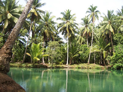 Aliwagwag Falls
