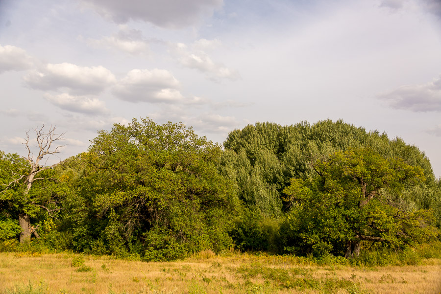 Петров Вал, Ольховка, Фролово