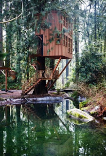 tree house