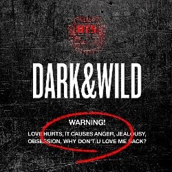 BTS : DARK & WILD