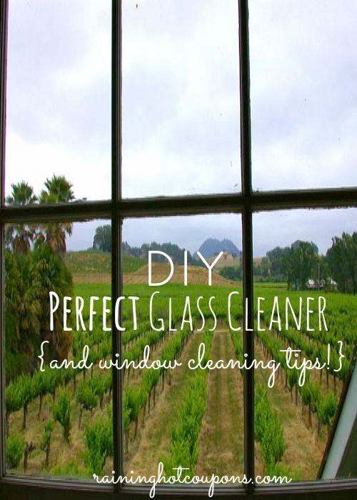 Life is {Sew} Daily The Best Window Cleaning Tricks Around {or so they say!}