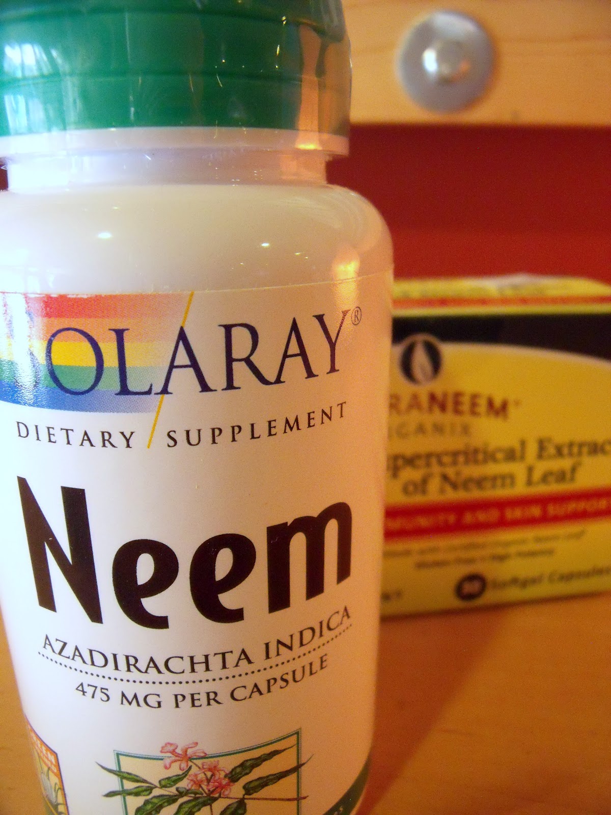 Harvest Moon Cafe The Health Benefits of Neem