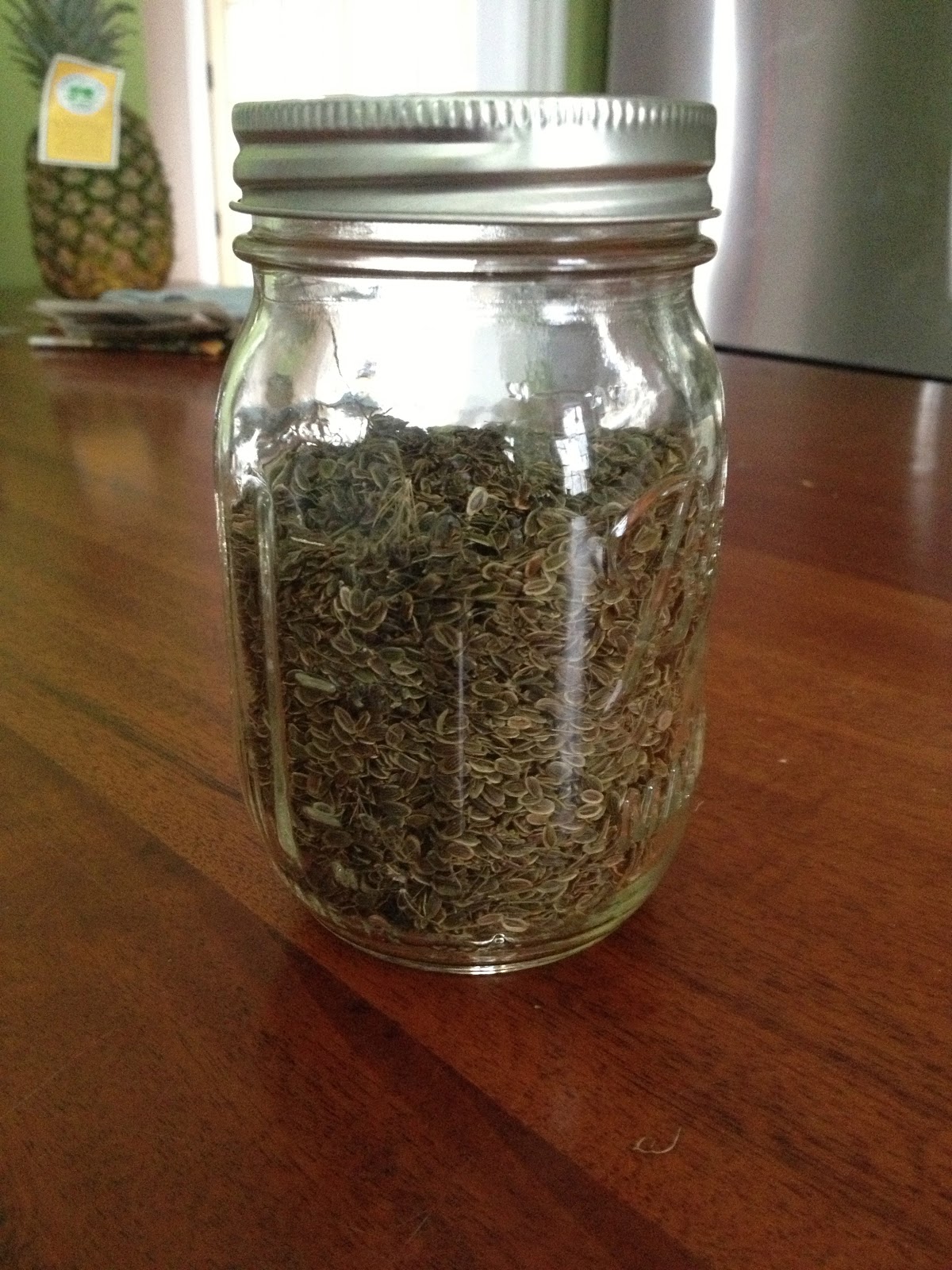 Dill Seed Saving
