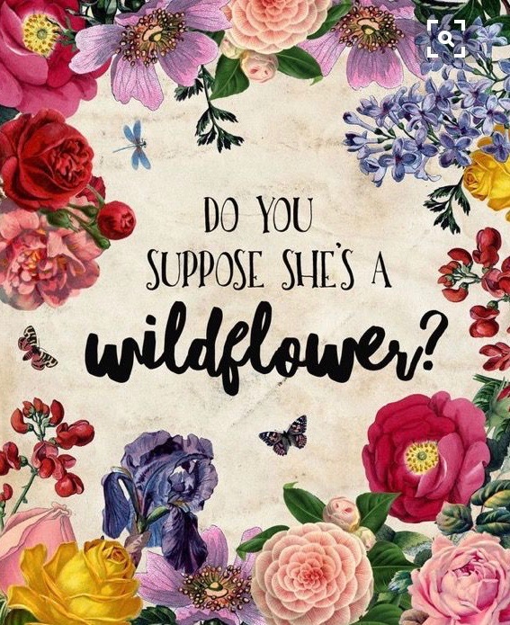 Do you suppose she's a wildflower?