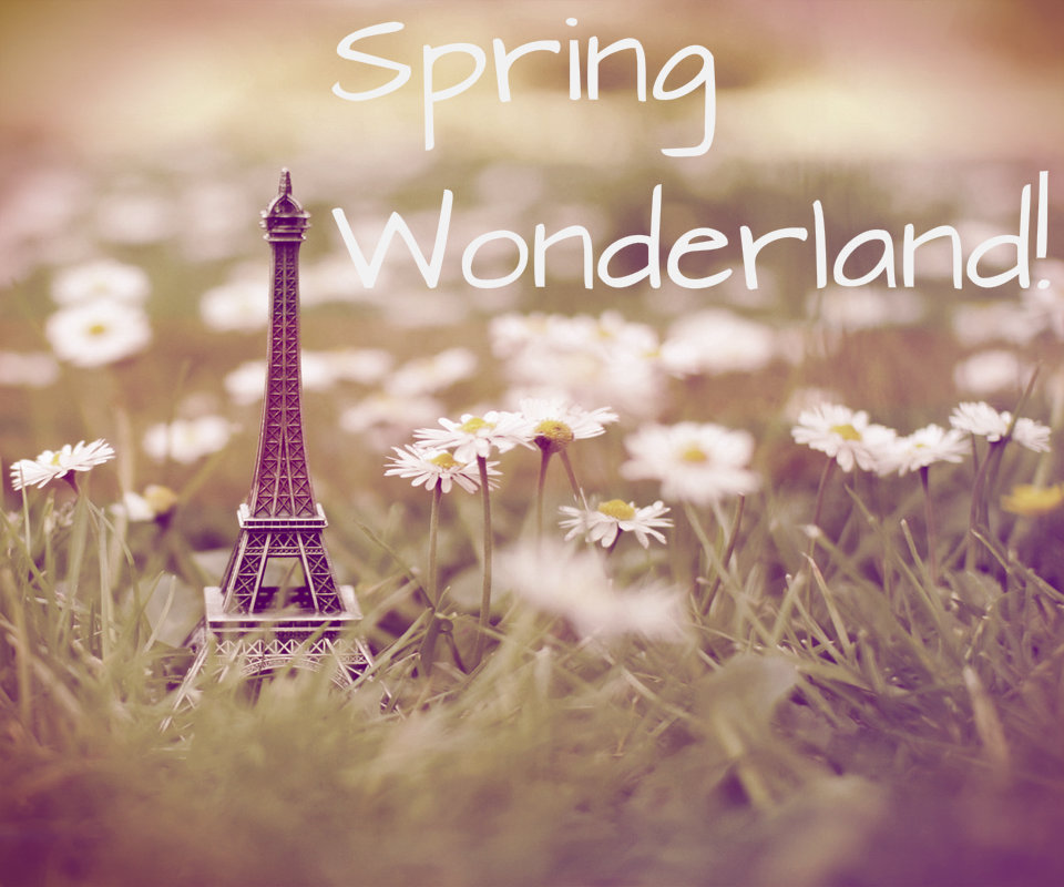 Spring Wonderland!