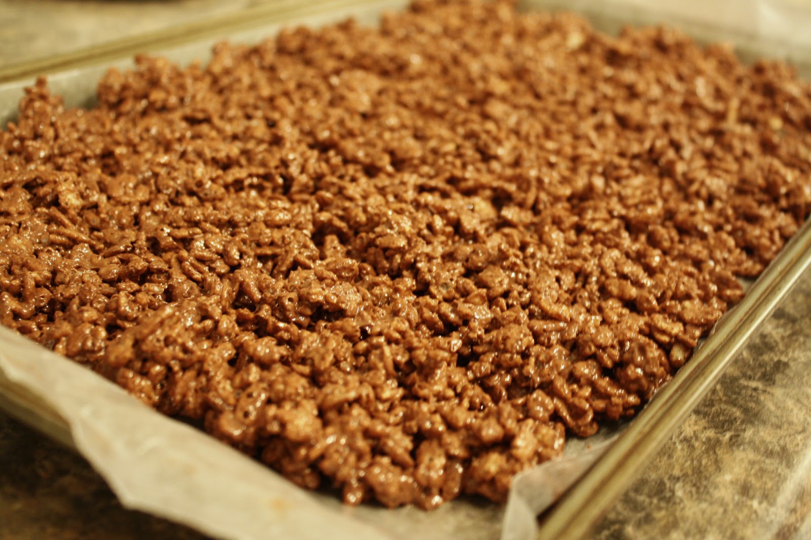 Live A Little Wilder Nutella Crunch Ice Cream Cake Recipe