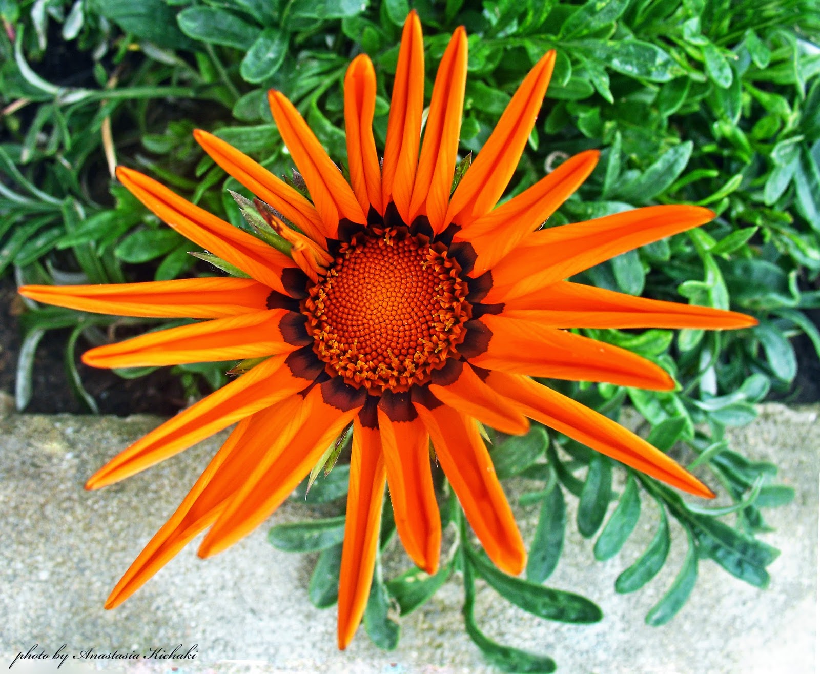 Mai Sitten Und Brauche In Griechenland