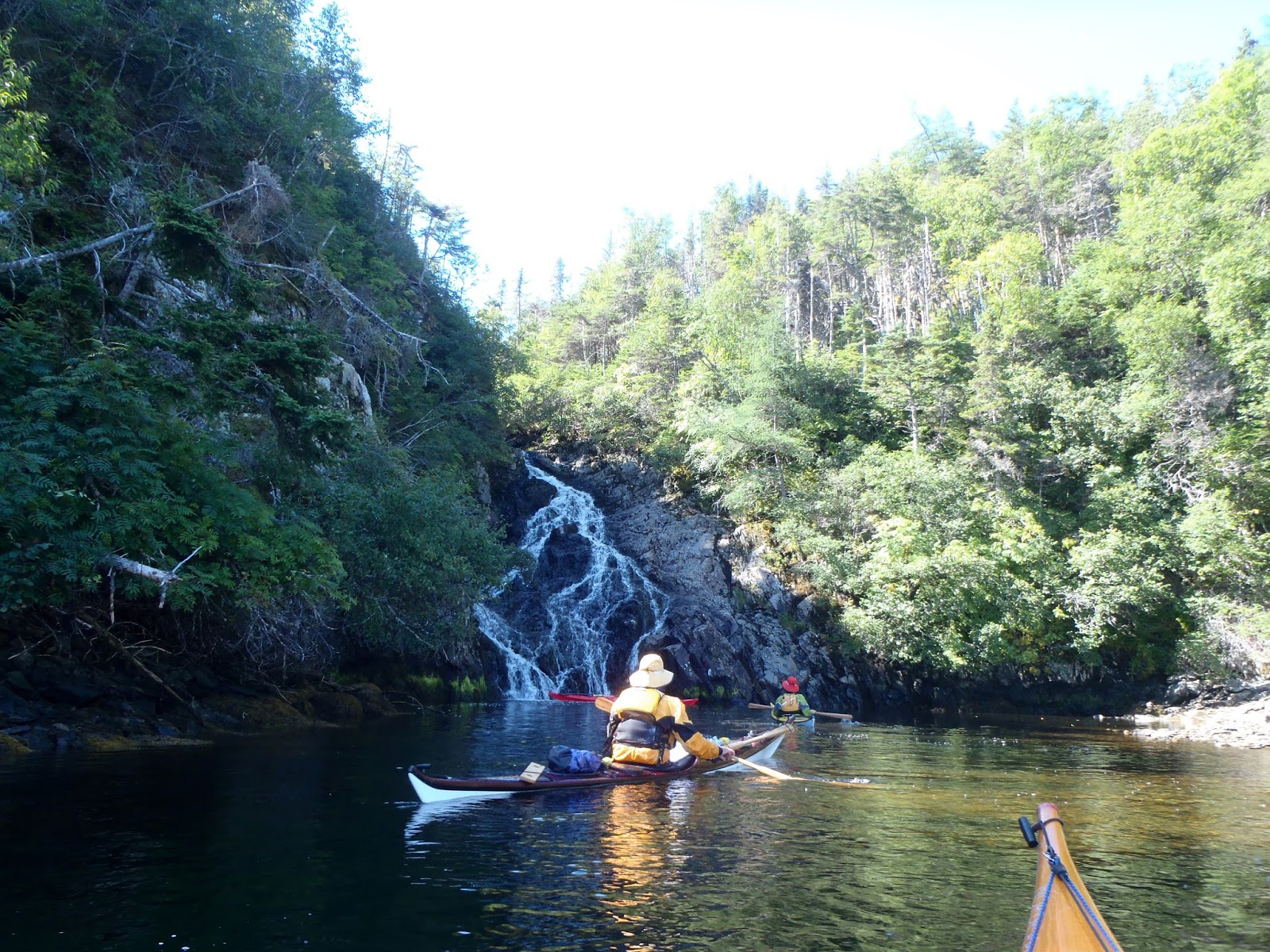 My Newfoundland Kayak Experience Placentia Bay 2015 Is that you Clattice?