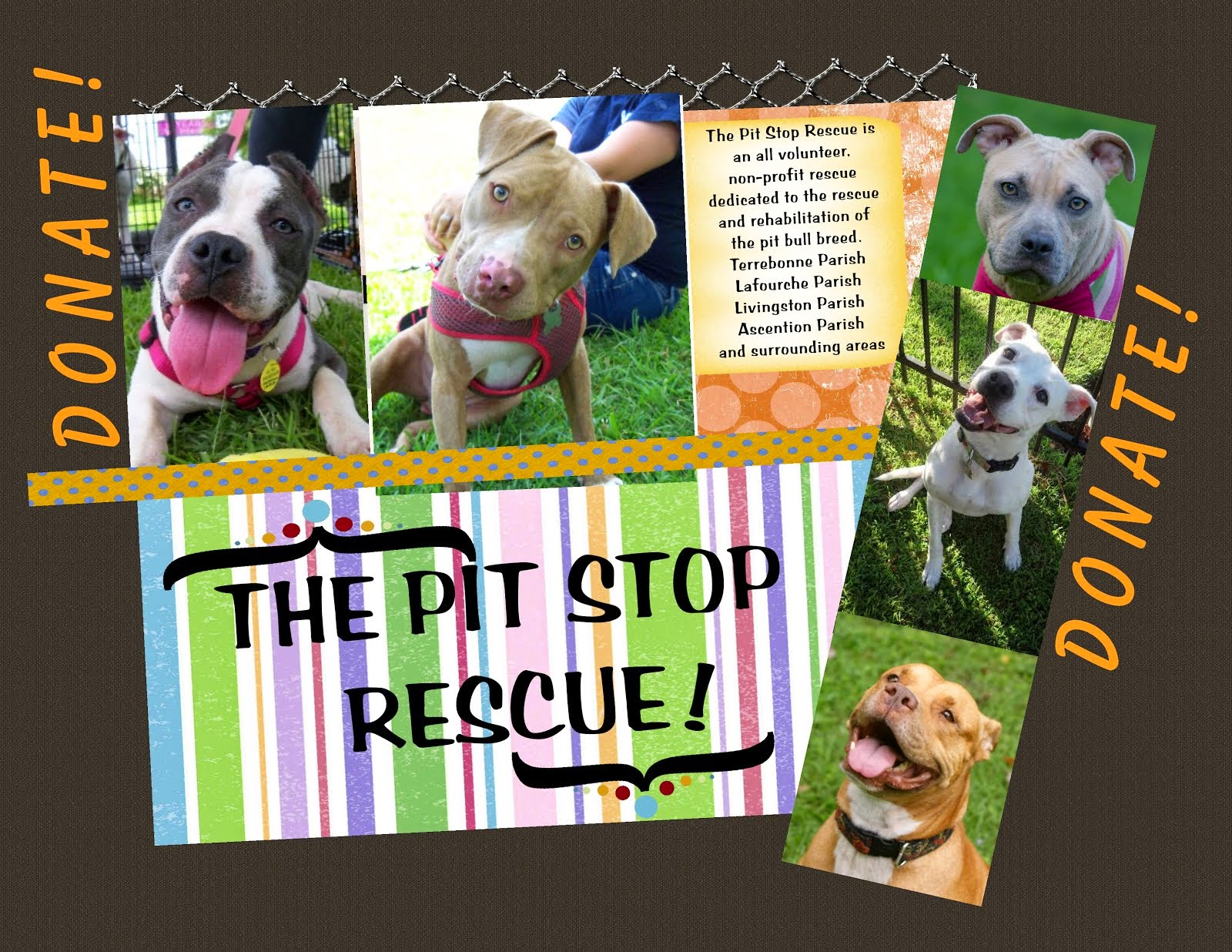 The Pit Stop Rescue